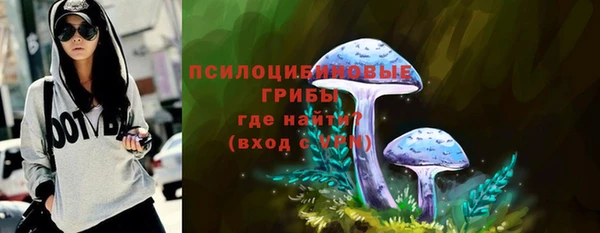 дмт Ельня