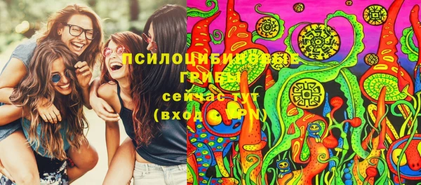 PSILOCYBIN Ленинск-Кузнецкий