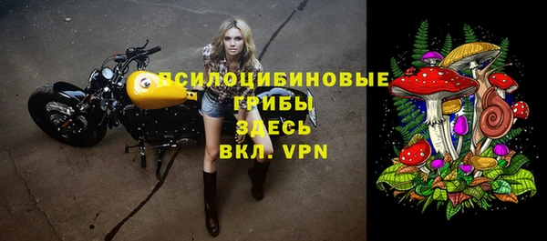 2c-b Усолье-Сибирское